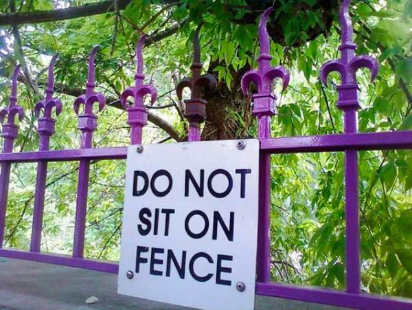 Fence Sitting